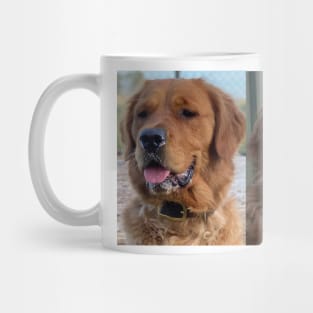 Dogs Mug